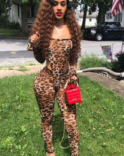 Leopard Printed Sexy Hollow Out Two Piece Pant Set S-XXL