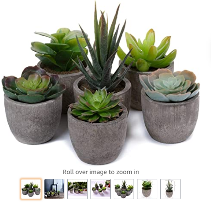 T4U Artificial Succulent Plants Potted, Mini Fake Succulent Plants in Pots for Home Office Wedding Decoration Pack of 6