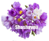 100 Pcs Freesias Bonsai Gorgeous Colorful & Fragrant Plants Cut Orchid Freesia Rhizome Bulbous Flowers, Home,Yard, Balcony