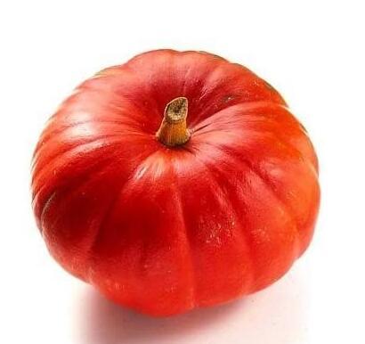 Organic Heirloom 16 Seeds Japanese Squash Pumpkin Seeds Orange Red Fruit Sweet Flavor Vine Creeper Plant Kabocha