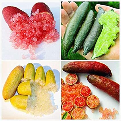 Kasuki 20 Pcs Novel Finger Limes Citrus Pomegranate Bonsai Delicious Sweet Fruit Bonsai for Home Garden Plant Mix Colors - (Color: Mix)