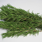 50PCS Rosemary Seeds Small Evergreen Herbal Plant Edible Bonsai with Blue Flowers
