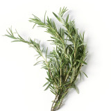 50PCS Rosemary Seeds Small Evergreen Herbal Plant Edible Bonsai with Blue Flowers
