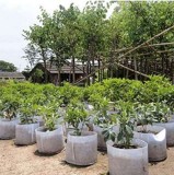 Fabrics Garden Nursery Pots Seedling-Raising Bags Fabric Pots Grow Bags Non-Woven - (Color: 2 Gallon)