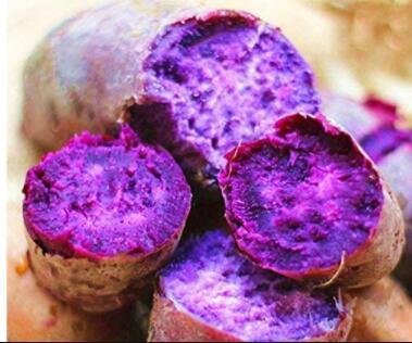 100PCS Purple Sweet Potato Seeds