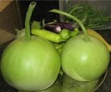 100PCS Asian Vegetable Calabash Round Edible Bottle Gourd