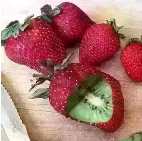 300PCS hailand Strawberry ‘Kiwi’ Seed Organic Sweet Fruit