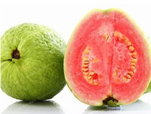 100PCS Guava Seeds