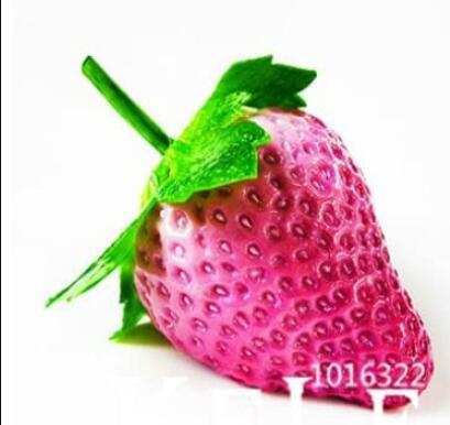 50PCS Rare Purple Strawberry Seeds