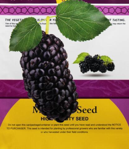 Original Pack 100PCS Mulberry seeds Blackish Purple Big Fruit Edible