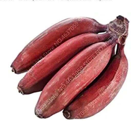 100PCS Dwarf Banana Tree Seeds - Red Skin