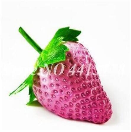 300PCS Pink Strawberry Hybrid Seeds Giant Juicy Potted Fruit