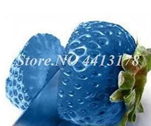 300PCS Light Blue Strawberry Hybrid Seeds Giant Juicy Potted Fruit