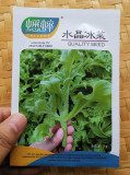 100PCS / 3000PCS Ice Plant Seeds Edible Plant mesembryanthemum crystallinum Vegetables