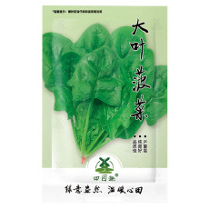 600pcs Big round leaf spinach Seeds Giant Noble spinach Persia vegetable