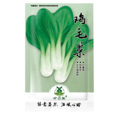 4000pcs Choi Seeds Green Stem Chinese Cabbage Bok choy Four Season vegetable