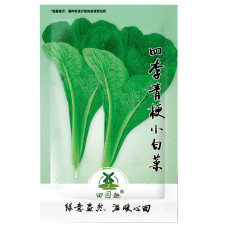 2000pcs Choi Seeds Green Stem Chinese Cabbage Bok choy Four Season vegetable