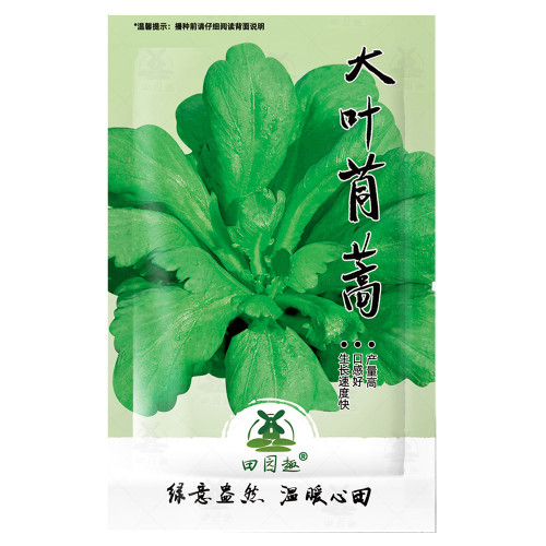 2000pcs Seeds Tong Ho edible Chrysanthemum coronarium Asia Veg(茼蒿）