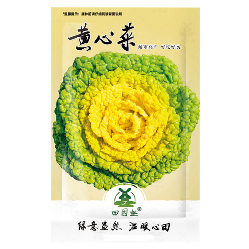 4000pcs Yellow Heart pak choi seeds Chinese Cabbage BokChoy Napa Cabbage Siu Bok Choy