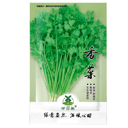 1100pcs Cilantro/Coriander Leaves Chinese parsley Mexican parsley