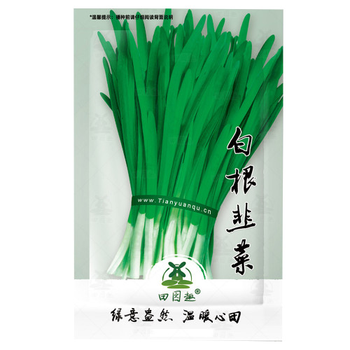 1000pcs Chinese Garlic Chives Seeds | USA Garden Asian Herb Green Onion Leek Seed