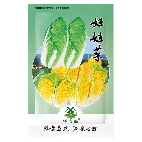 1000pcs Chinese cabbage seeds-non-GMO-organic Cabbage-open pollination