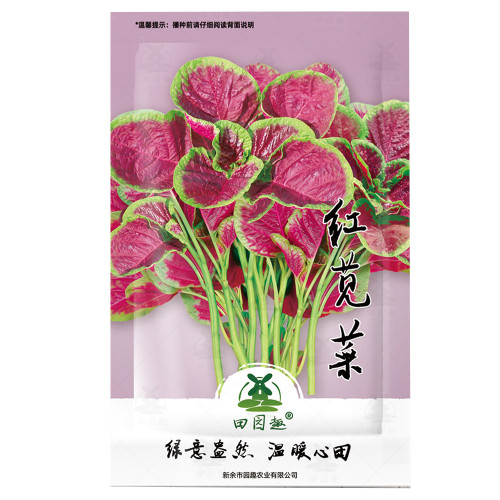 2000pcs Red Amaranth Seeds, Chinese Spinach Seeds Amaranth, USA 🇺🇸 Grow, Fresh