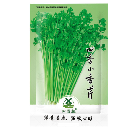 2000pcs Chinese Celery Seeds Khuenchai Kan-tsai Kin-tsai Kunchoy Qincai Kinchay