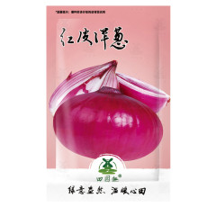 220pcs Seeds Onion Red Baron Giant Round Vegetable Planting Organic Heirloom