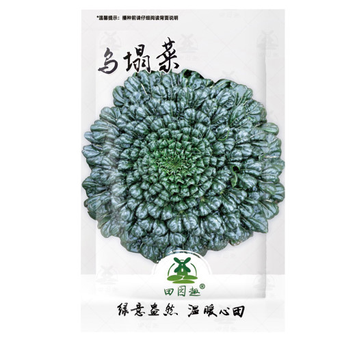 2500pcs Oriental veggie seeds, Hybrid Tatsoi x PakChoi