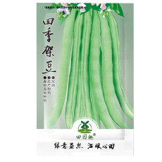 30pcs Top Crop Green Bean Seeds | Heirloom Stringless Tender Vegetable Seed Fresh
