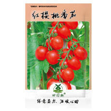 100pcs Seeds Indoor Tomato Vishenka Cherry Red Vegetable Organic Heirloom