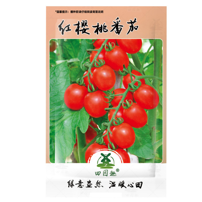 100pcs Seeds Indoor Tomato Vishenka Cherry Red Vegetable Organic Heirloom