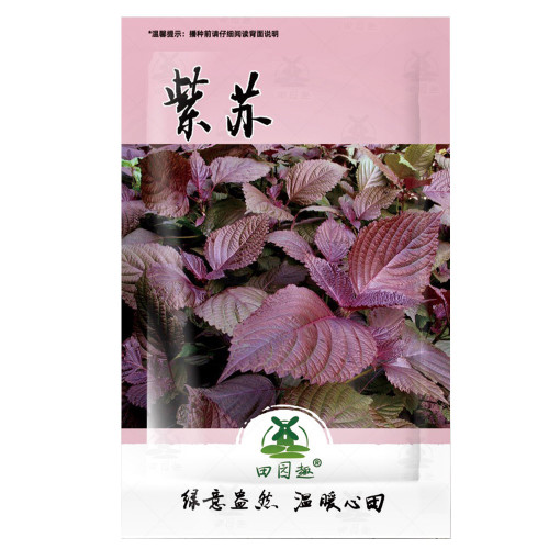 1000pcs Perilla Seeds | KKaennip Gaennip Sesame Beefsteak Shiso Asian Seed