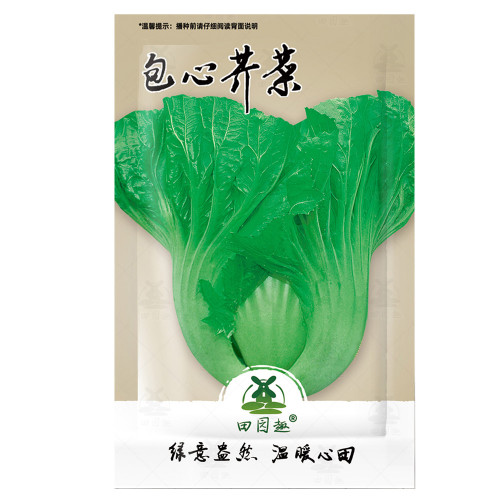 2000pcs Indian Chinese Cabbage seeds; Heading Mustard