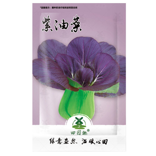 1200pcs Purple Lady Bok Choy | Pak Choi Seeds USA Pok Asian Vegetable Chinese Seed