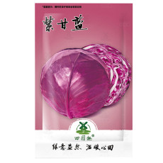 250pcs The more purple purple cabbage seeds vegetable