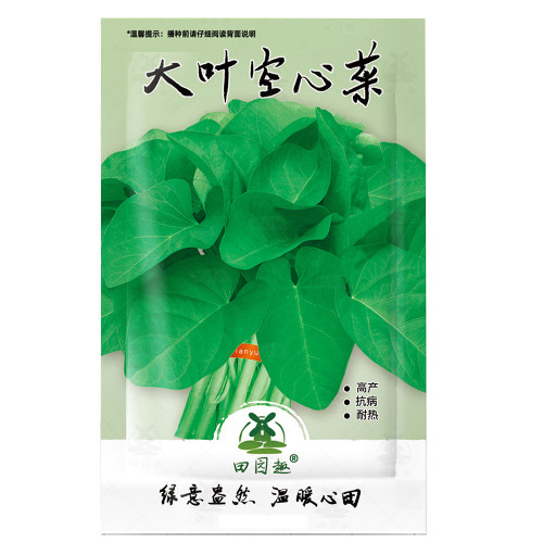 100pcs Water spinach seeds water convolvulus vegetables with big leaves