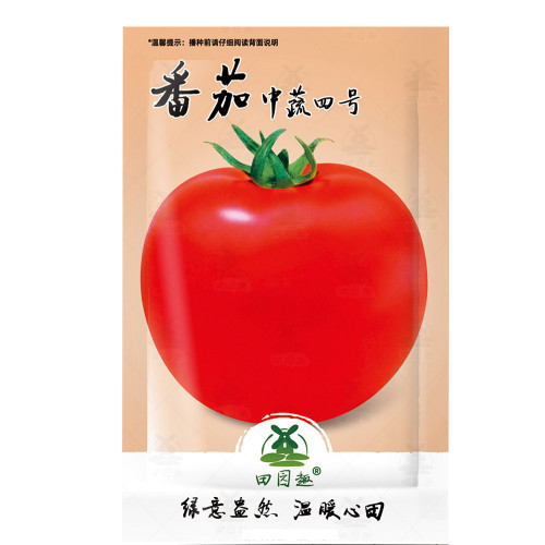 100pcs Delicious Tomato Seeds, NON-GMO, World Record Beefsteak, Heirloom