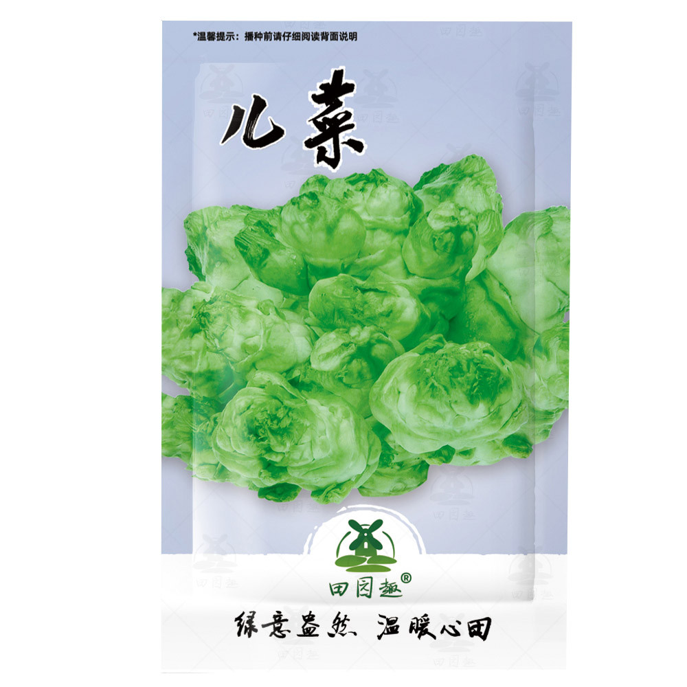 US 1.45 1200pcs Seeds Chinese mustard ercai baby mustard Seeds www