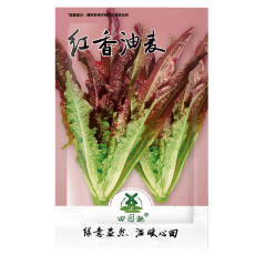 2500pcs Seeds Chinese leaf lettuce Sword pointed lettuce A Choy