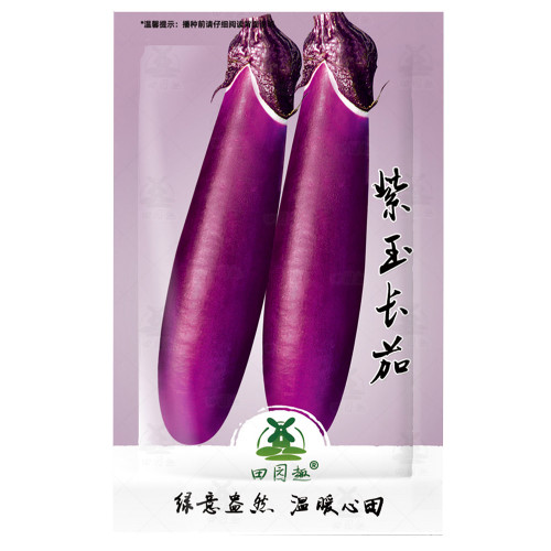 700pcs Long Purple Eggplant Seeds | Heirloom | Non-GMO | Fresh Garden Seeds