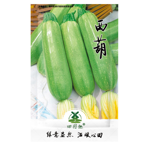 25pcs Summer Zucchini Squash Seeds | Heirloom & Non-GMO | Fresh Vegetable Seeds