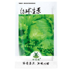 1000pcs Iceberg Lettuce Head Seeds, Garden Salads, NON-GMO