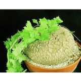 2pcs Ibervillea sonorensis Seeds Bonsai plant