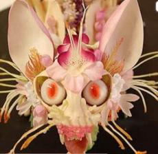 30 Japanese Orchid Seeds, Monkey Face Pattern