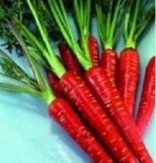 Carrot Bonsai Rare Edible Vegetable Seed Nutrition Organic HeirloomRadish Non-GMO Yard Garden 200pcs