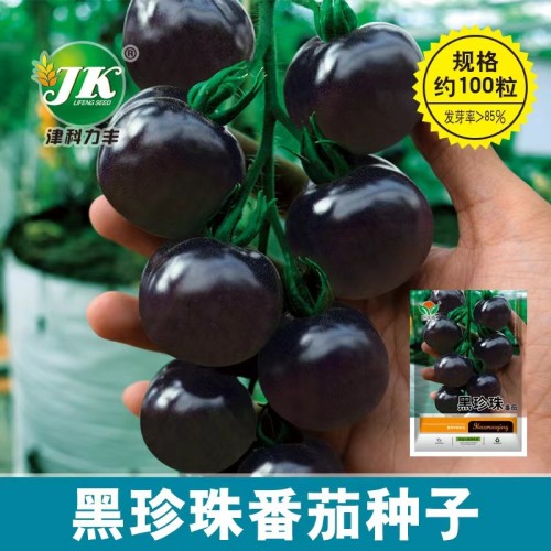 200PCS Black Pearl Tomato Seeds Black Tomato Cherry Seeds Vegetable Seeds - Original Pack