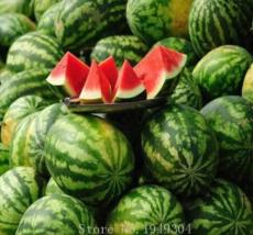 Lazy Melon King Watermelon Bonsai red Meat Garden Balcony Potted Fruit 30pcs - (Color: 1)