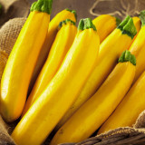 5 Bags (10 Seeds / Pack) of Banana Zucchini seeds, 'Yellow Banana' series, featuring vibrant yellow gourds